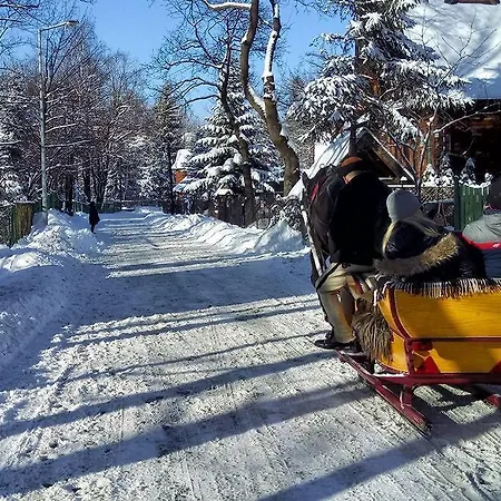 Bed & Breakfast Wrzos Zakopane