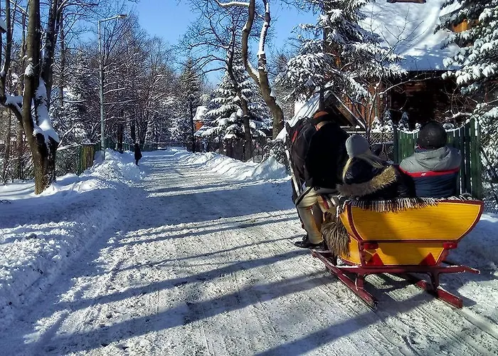住宿加早餐酒店 石楠别墅旅馆 扎科帕内